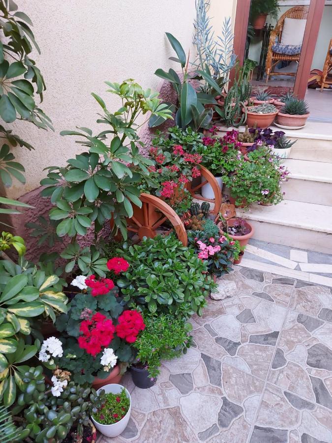 Vila Kodra Тирана Экстерьер фото
